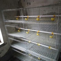 養(yǎng)雞苗籠子。