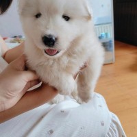 物品買(mǎi)賣(mài)?。?！